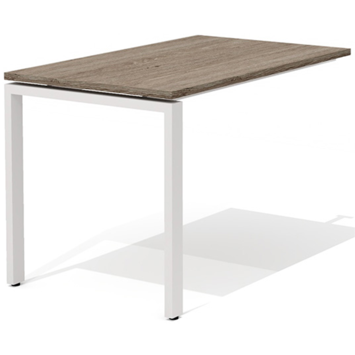 Дуб Верцаска - белый