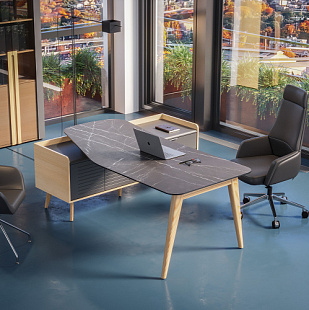 Кабинет руководителя "Ремо" (Remo)