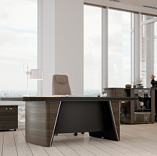 Кабинет  руководителя "New Tone"