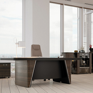 Кабинет  руководителя "Ньютон" (New Tone)