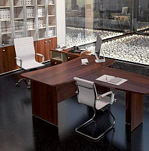 Кабинет руоводителя "Gamma Direct"